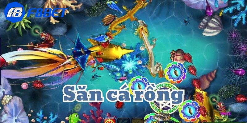 bắn cá rồng